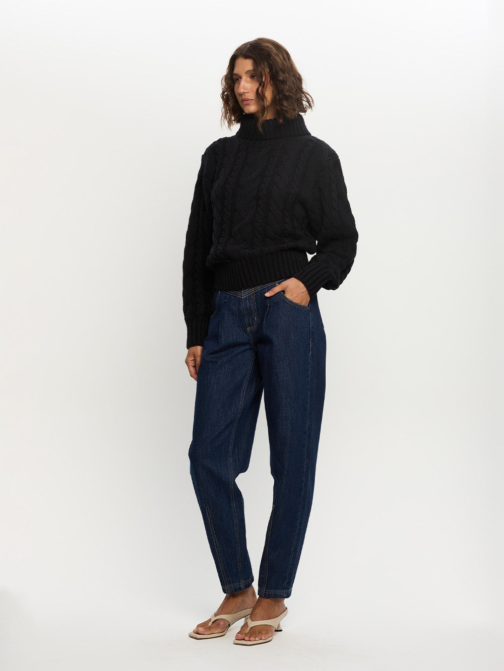 Anya Roll Neck Knit Sweater