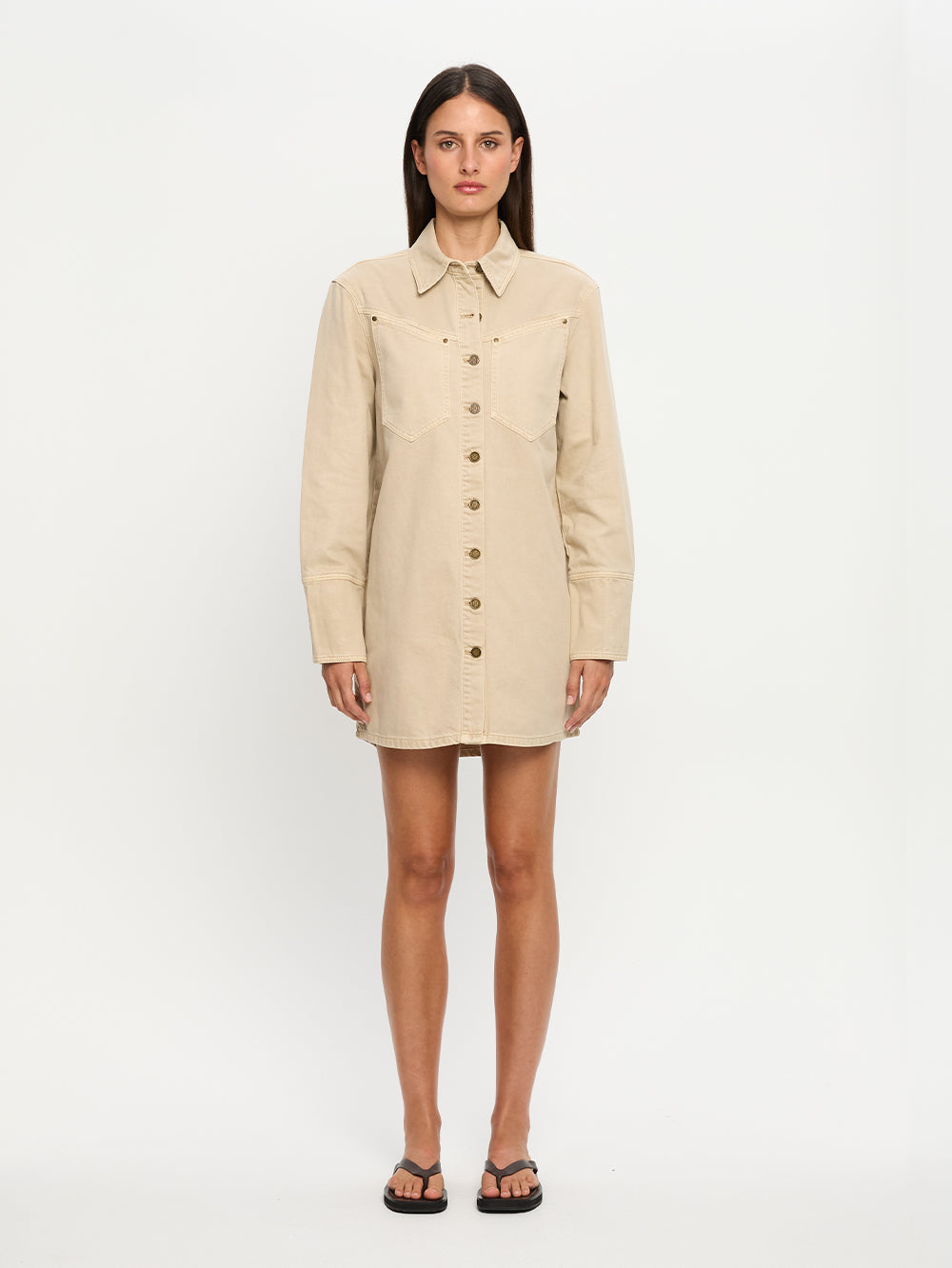 Carla Denim Mini Dress