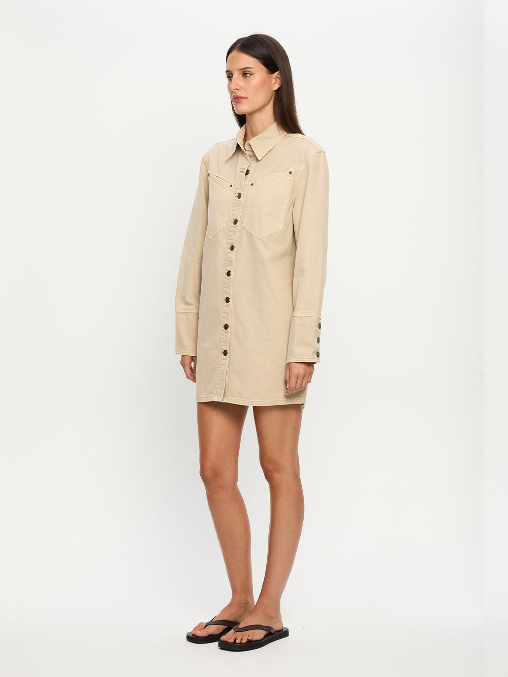 Carla Denim Mini Dress