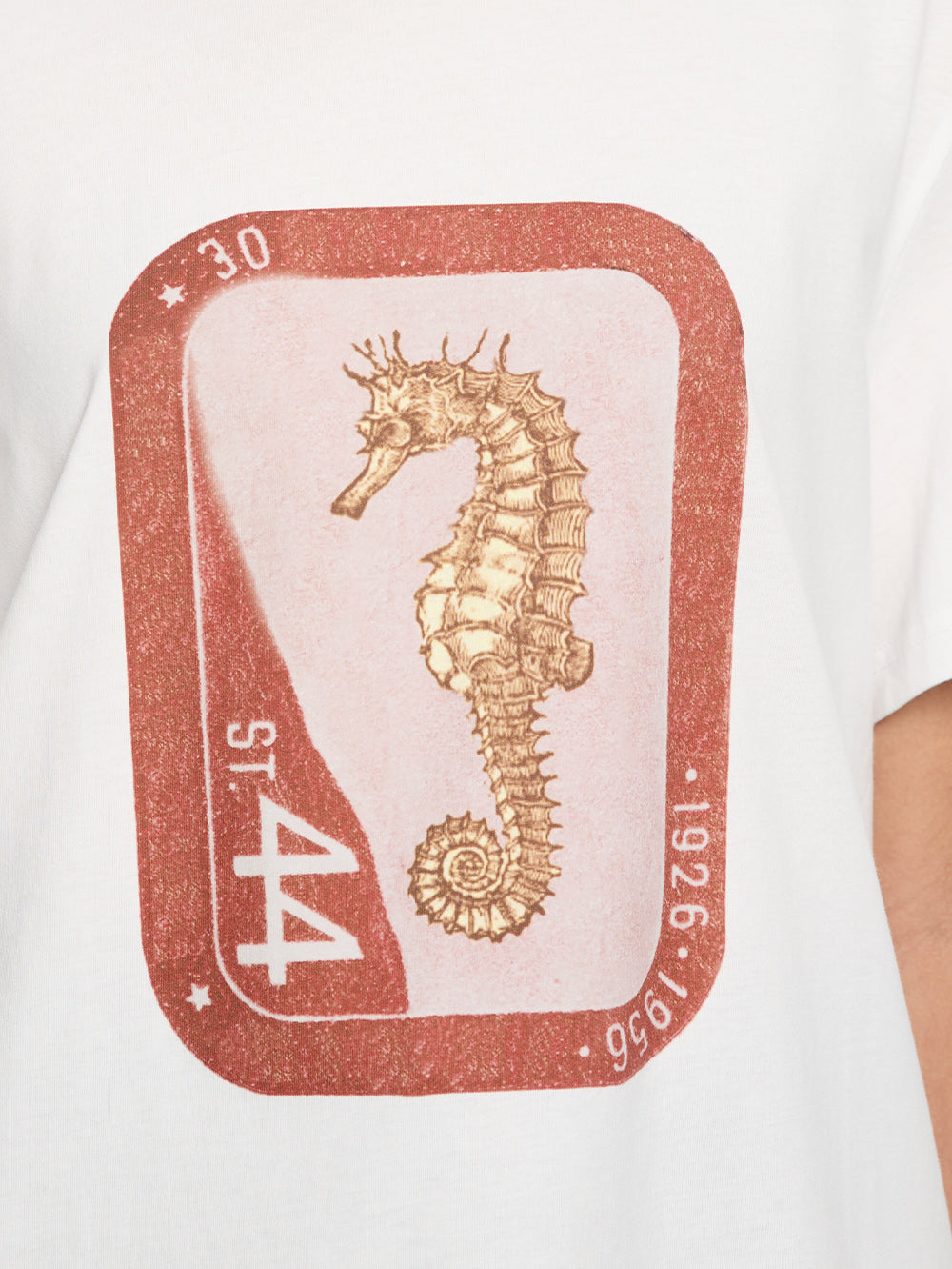 Sheldon Tee